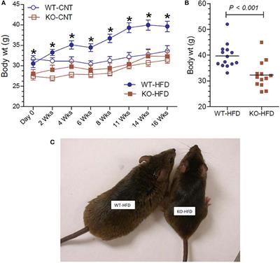 P2Y2 Receptor Promotes High-Fat Diet-Induced Obesity